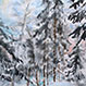 Snöig skog 52x62